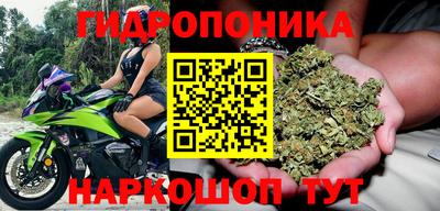mdpv Лесосибирск