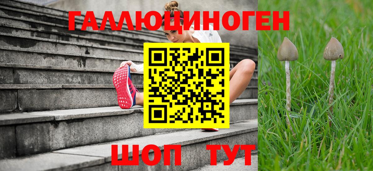 Галлюциногенные грибы мицелий  Галлюциногенные грибы Psilocybe  Дербент  Вход с VPN 
