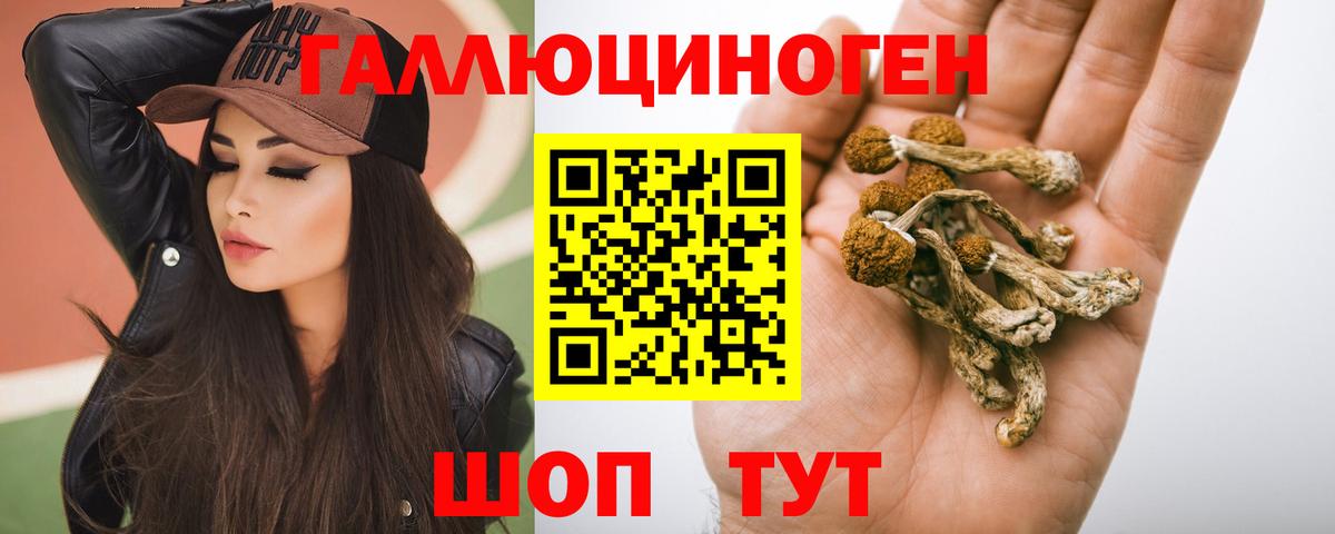 Псилоцибиновые грибы Magic Shrooms Дербент